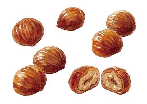 Elegant watercolor marron glac&eacute; illustration, glossy candied chestnuts with rich syrup texture and delicate gourmet confectionery style ／ 水彩風のマロングラッセのイラスト、艶やかな栗のシロップ漬けを上品で繊細に表現した高級感のある洋菓子
