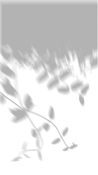 Grass Texture Shadow Overlay Corner Nature Effect