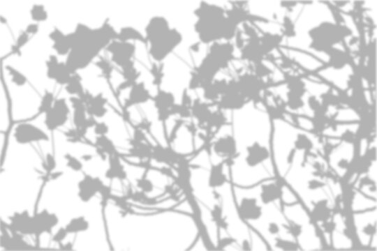 Scattered Leaf Texture Shadow Overlay Nature Effect