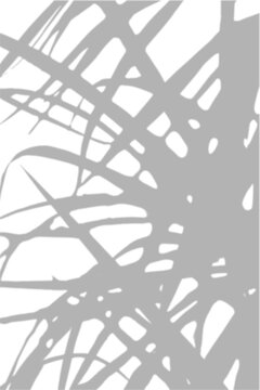 Palm Leaf Shadow Overlay Corner Tropical Effect