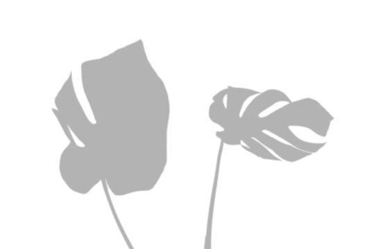 Small Leaf Duo Shadow Overlay Botanical Effect