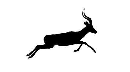 Fototapeta premium Black silhouette of a leaping gazelle on white.