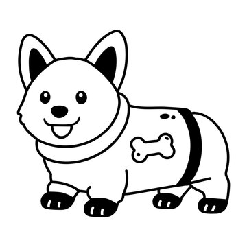 A corgi wearing a cozy blue and pink sweater.