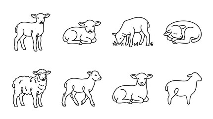 Obraz premium Diverse Lamb and Sheep Line Art Drawing Set Vector Illustrations in Various Poses for Farm and Nature Themes