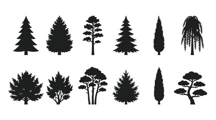 Fototapeta premium Collection of different tree silhouettes, deciduous and coniferous trees, forest plants