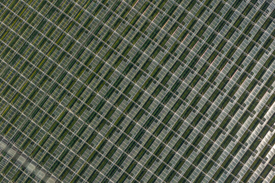 Aerial view of a large greenhouse roof with geometric glass panels and metal frames in an agricultural facility in Mutenice, South Moravian Region, Czechia.