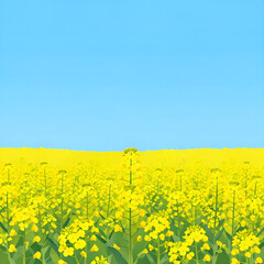 Obraz premium Wide shot of a vast field of yellow canola flowers under an open sky, flat vector illustration