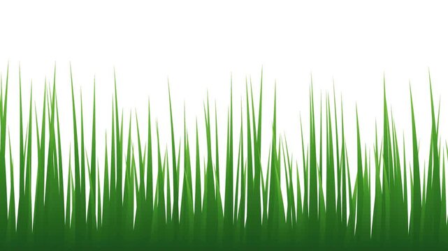 Lush green grass border with fresh blades of grass on a white background for nature-themed designs and environmental concepts