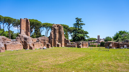 Fototapeta premium Visitors walk through the Roman Forum ruins in Rome Italy. These ancient remains show the history and structure of an important site from the Roman Empire era.