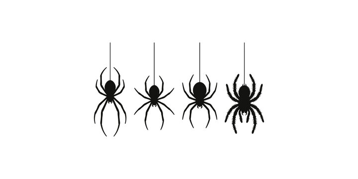 Collection of four black hanging spiders in different styles for halloween graphic design.
