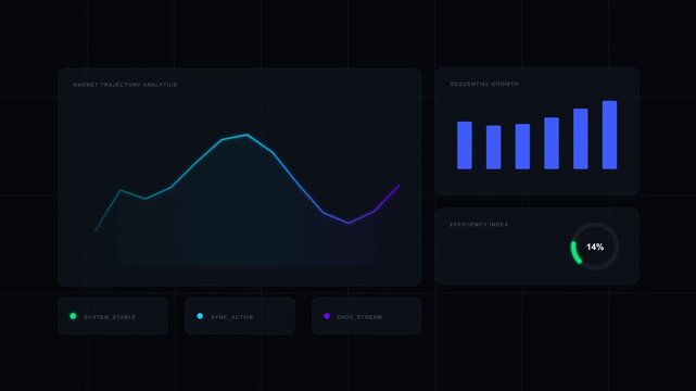 Professional Financial Dashboard Interface Featuring Interactive Data Visualization Graphs and Performance Metric Charts for Business Analytics