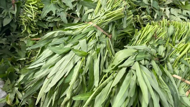 Fresh organic green water spinach bundles at traditional Asian market