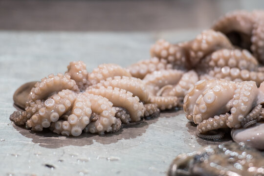 Fresh raw octopus in a fishmonger or fish market in Bari, Puglia, Italy