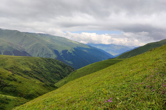 Image of alpine meadows above tree line and cloudy blue sky.