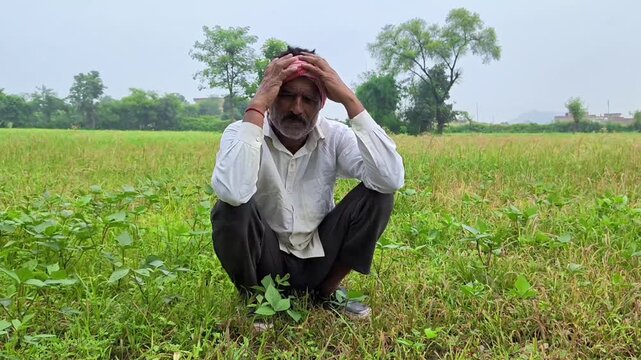 Depressed farmer sitting on agricultural field with head in hands, Showing stress and financial hardship
