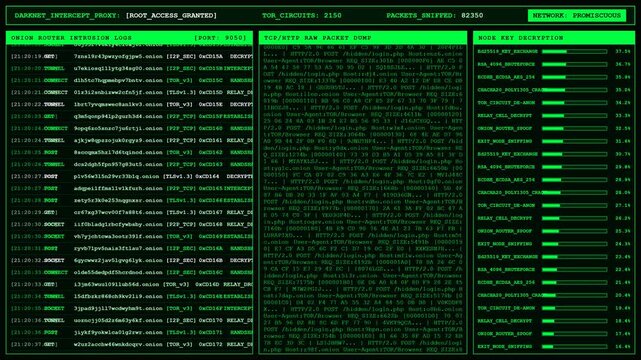 Darknet Intercept Proxy Onion Router Decryption Animation.
