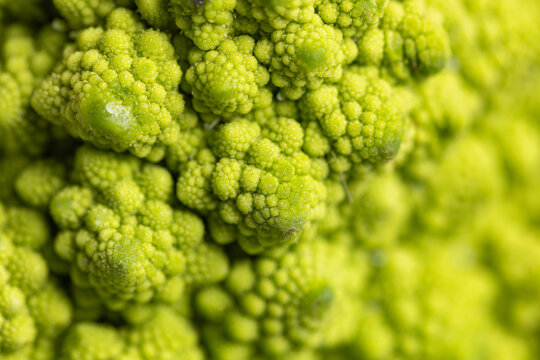 Macro shot of Romanesco broccoli fractal texture close up