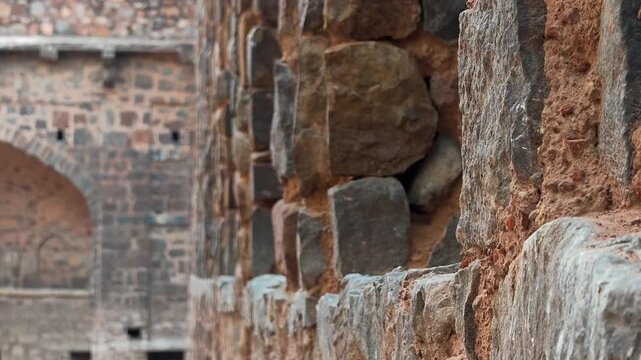 Pigeon perched on ancient stone wall at agrasen ki baoli stepwell in New Delhi, India.