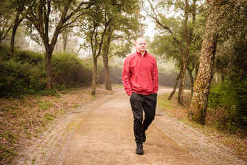 Obraz premium Man walking forest trail finding peace and solitude