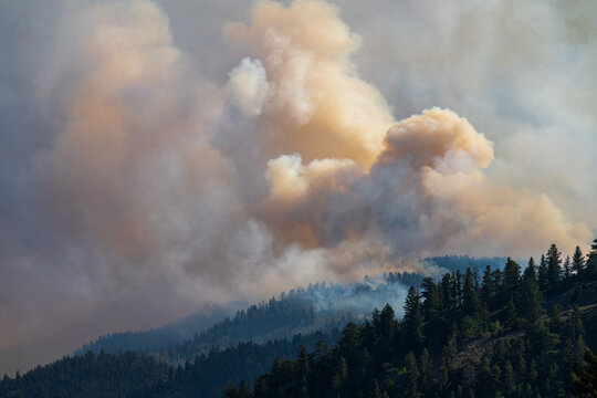 Wildfire smoke billows above a mountain treeline