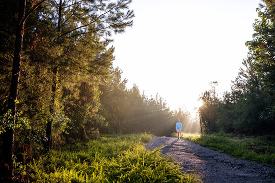 Person walking on a sunlit path through the woods