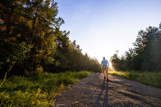 Guy walking down a sunny path through the trees