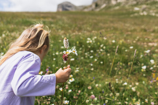 Little girl picking a bouquet of wildflowers