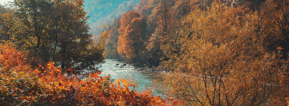 Mountain river on an autumn sunny day. Nature landscape. Carpathian Mountains, Europe