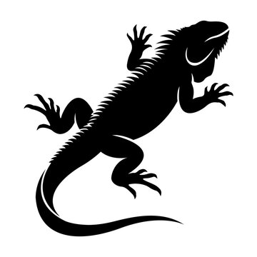 Detailed Silhouette Vector Illustration of an Iguana Reptile Isolated on a Clean White Background for Graphic Design Projects