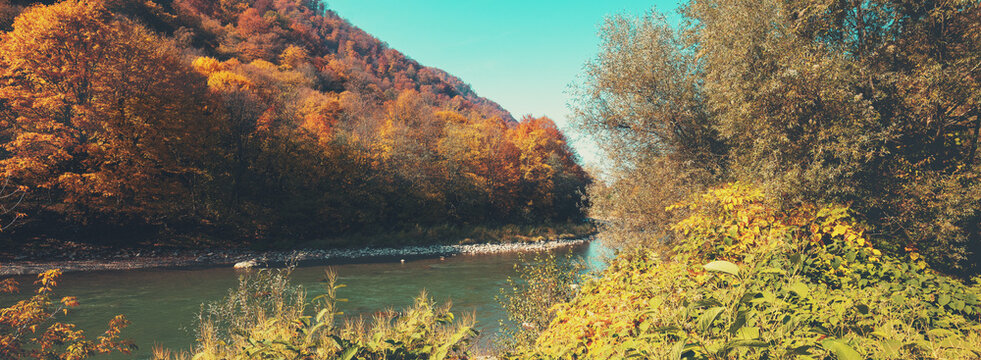Mountain river on an autumn sunny day. Nature landscape. Carpathian Mountains, Europe