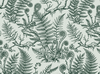 Seamless pattern fern forest in botanical green leaves of leaf foliage nature vintage vector illustration background wallpaper design texture fabric textile print © AfsanaBinteSalam