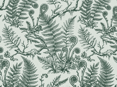Seamless pattern fern forest in botanical green leaves of leaf foliage nature vintage vector illustration background wallpaper design texture fabric textile print