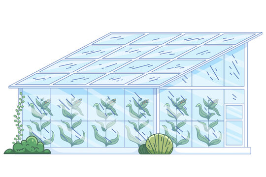 Modern glass greenhouse structure with slanted roof cultivating tall corn crops inside for sustainable smart agriculture concept