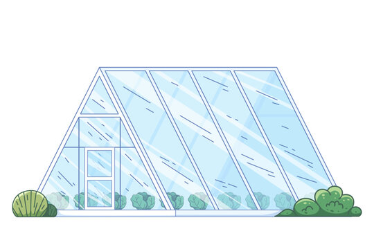 A-frame glass greenhouse structure with triangular roof panels cultivating rows of leafy green cabbages inside for sustainable organic farming concept