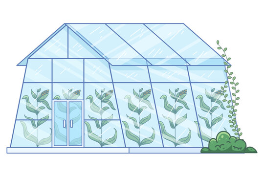 greenhouse with plants