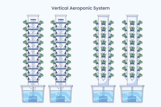 Vertical aeroponic system diagram showing cross section of internal nutrient misting on plant roots and external view of tower garden for soilless smart agriculture concept
