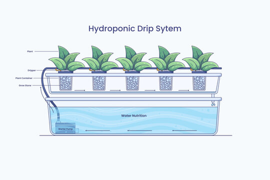 Diagram of a hydroponic drip system showing a water pump feeding drip emitters over plant containers filled with grow stones for efficient nutrient irrigation