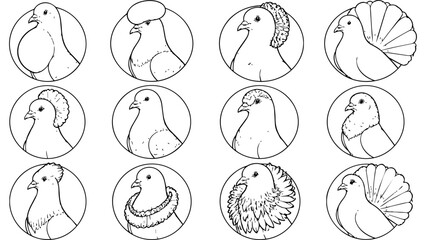 Fototapeta premium A collection of twelve distinct pigeon breeds depicted as simple circular line art icons.