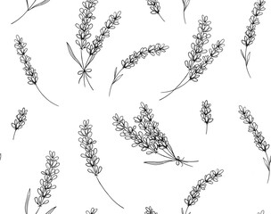 Black line art lavender set  flowers seamless pattern isolated on white background.. © al