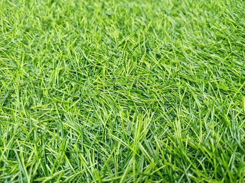 Close-up texture of bright green artificial grass synthetic turf background 