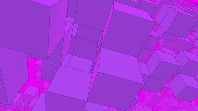Pink cube landscape fly through network