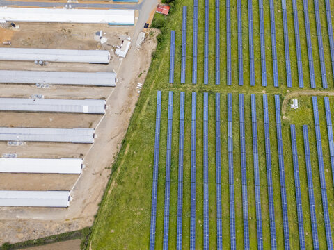 Aerial view of industrial poultry farms and solar panels in a rural landscape with long white sheds and rows of photovoltaic modules in Santiago de Queretaro, Queretaro, Mexico.