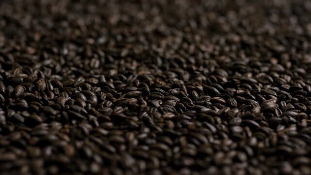 Full frame texture of dark roasted barley malt grains
