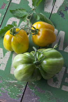 Three yellow pepper tomatoes, studio shot
