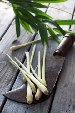Lemongrass (Cymbopogon citratus) on old knife