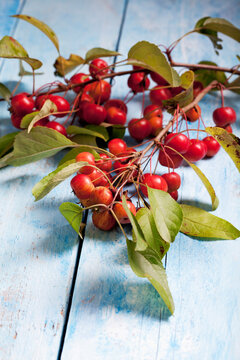 Ornamental apples
