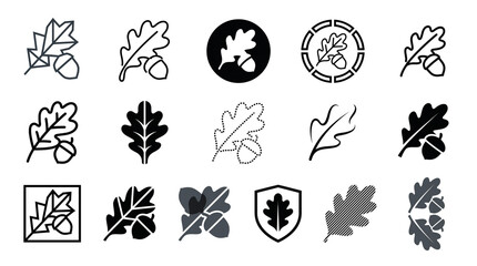 Minimalist oak leaf icons set, black and white acorn symbols, nature graphic collection for branding and web design isolated PNG with Transparent Background © HabibUllah