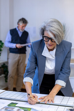 Businesswoman planning real estate project at office with colleague