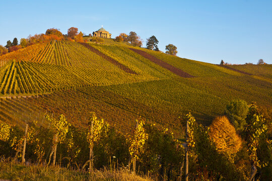 Germany, Baden Wuerttemberg, Stuttgart, View of vineyards with burial chapel and sepulchral chapel