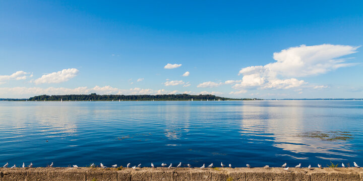 Germany, Bavaria, black-headed gulls crouching on wall at Chiemsee